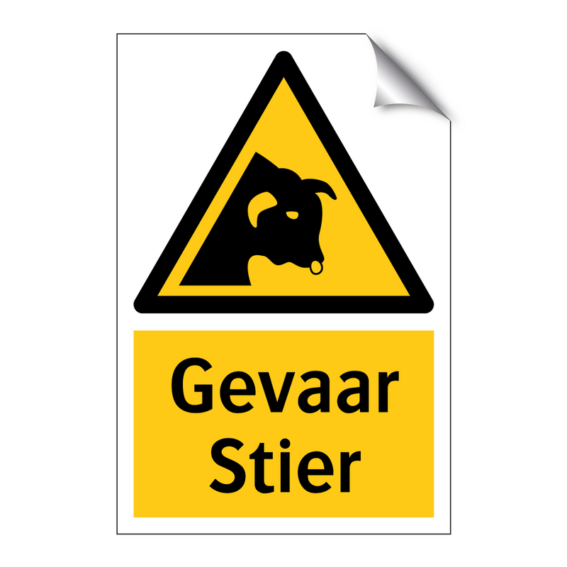 Gevaar Stier