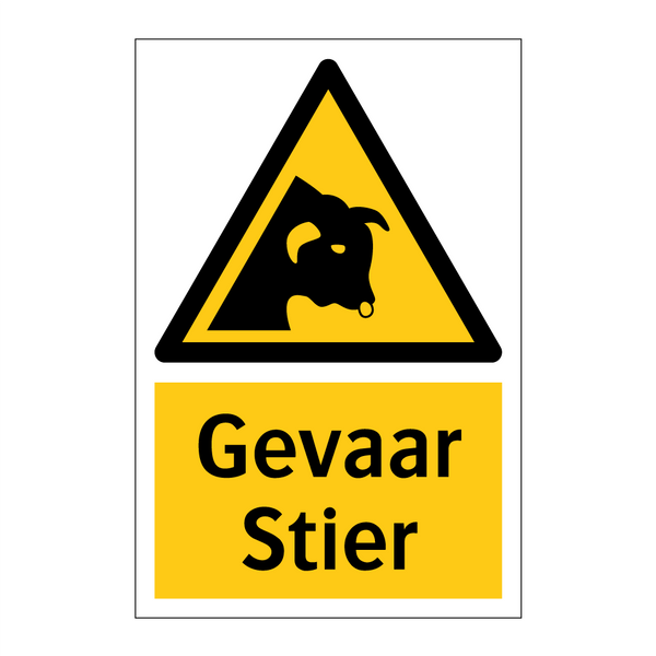 Gevaar Stier