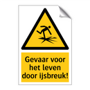 Gevaar voor het leven door ijsbreuk!