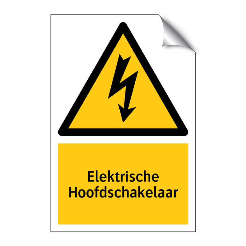 Elektrische Hoofdschakelaar