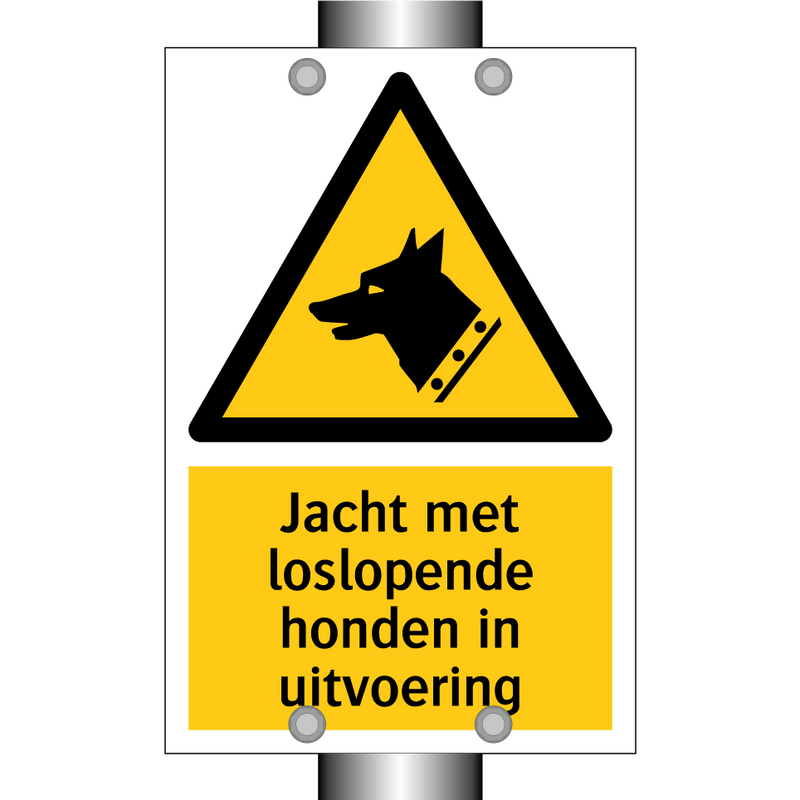 Jacht met loslopende honden in uitvoering