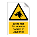 Jacht met loslopende honden in uitvoering