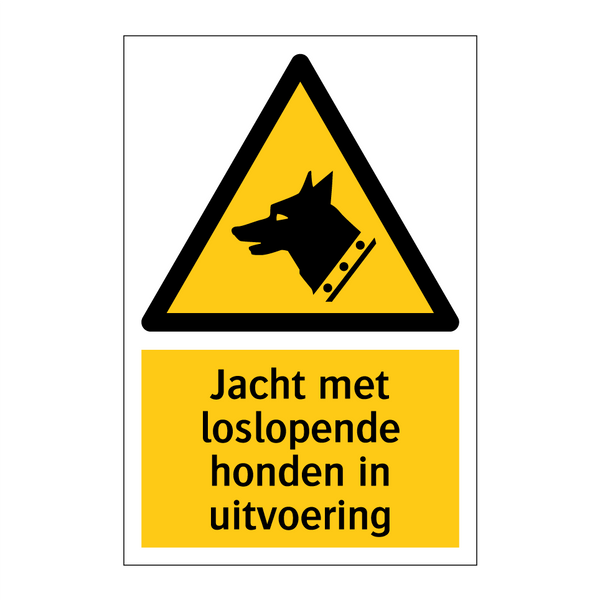 Jacht met loslopende honden in uitvoering