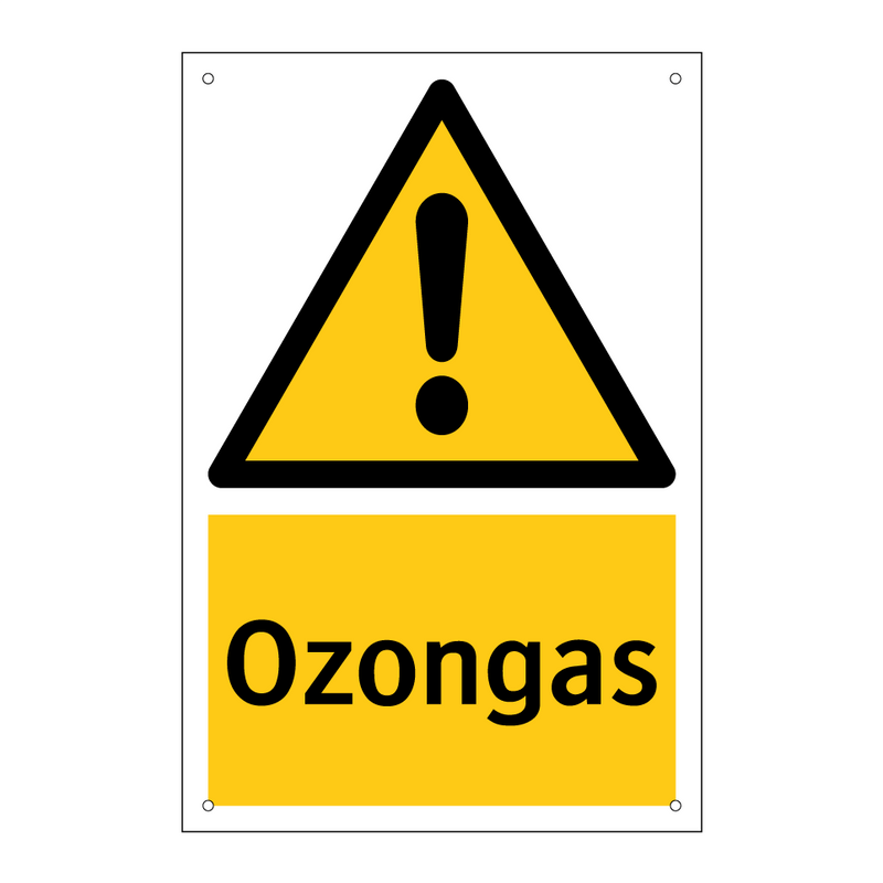 Ozongas