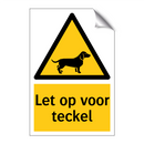 Let op voor teckel