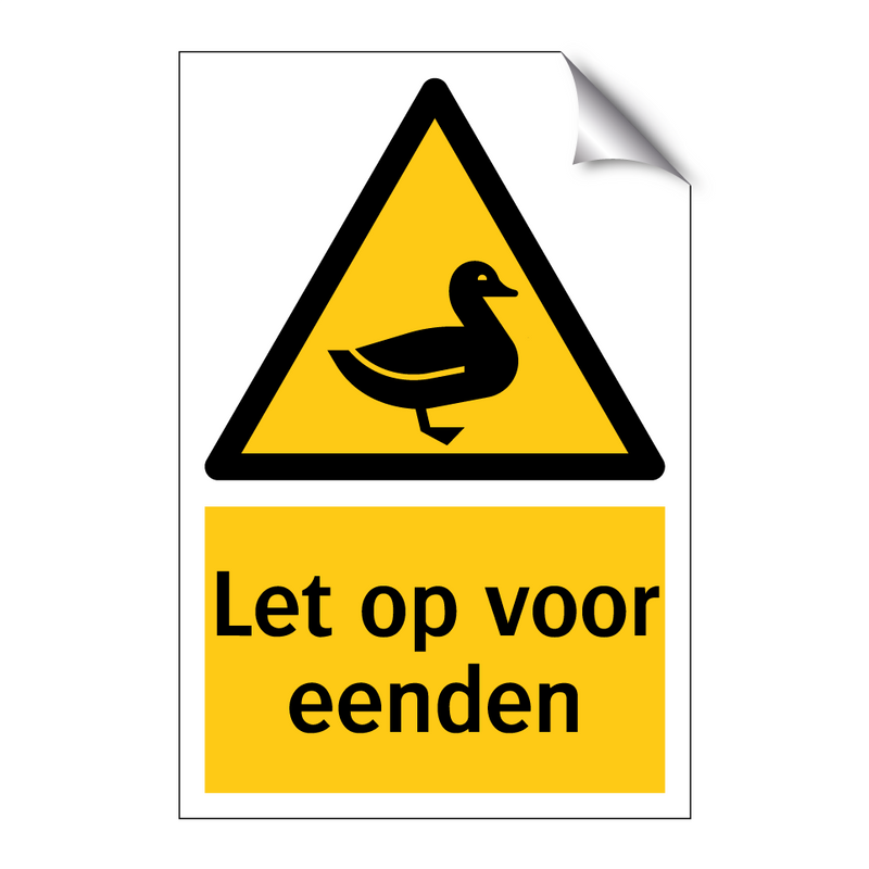 Let op voor eenden