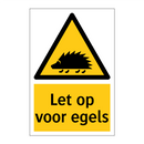 Let op voor egels