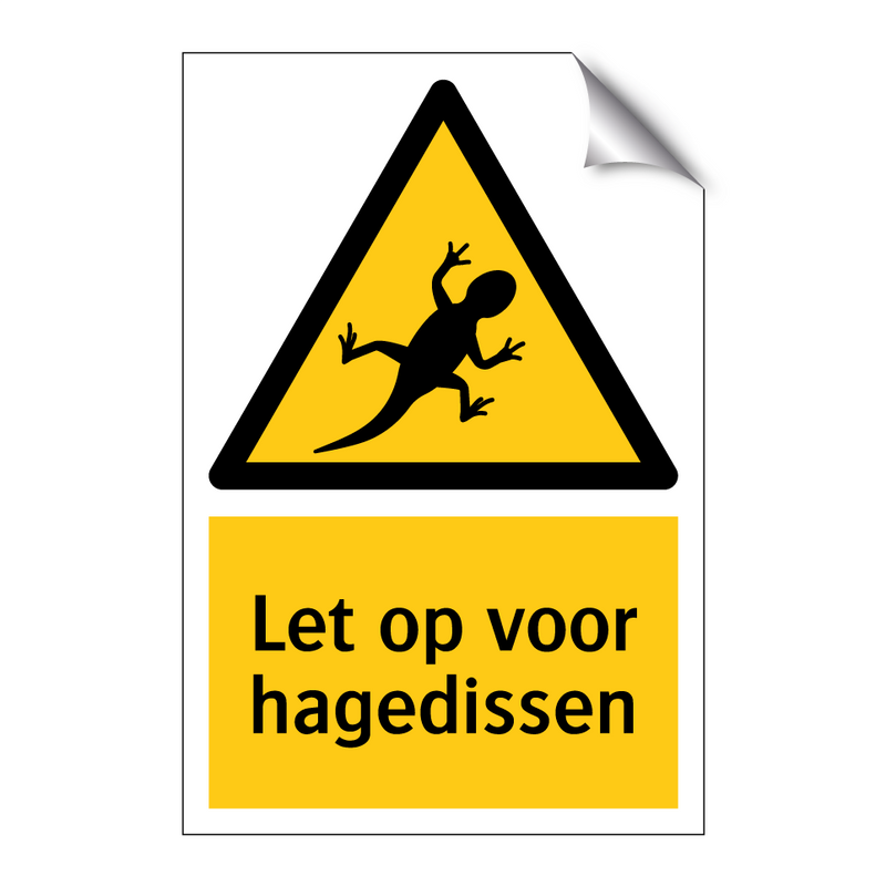 Let op voor hagedissen