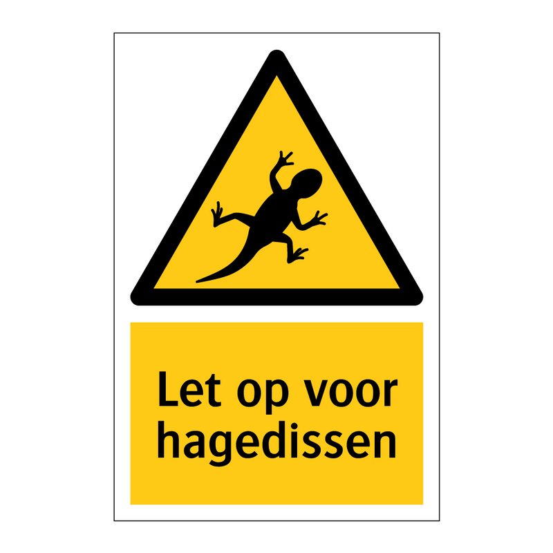 Let op voor hagedissen