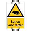 Let op voor ratten