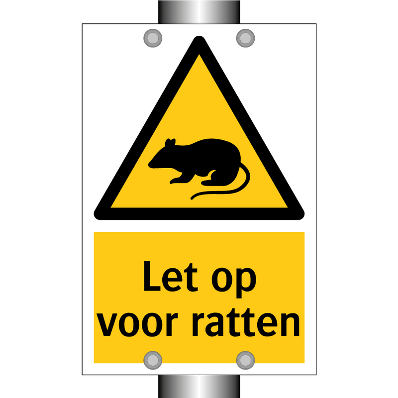 Let op voor ratten