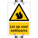 Let op voor eekhoorns