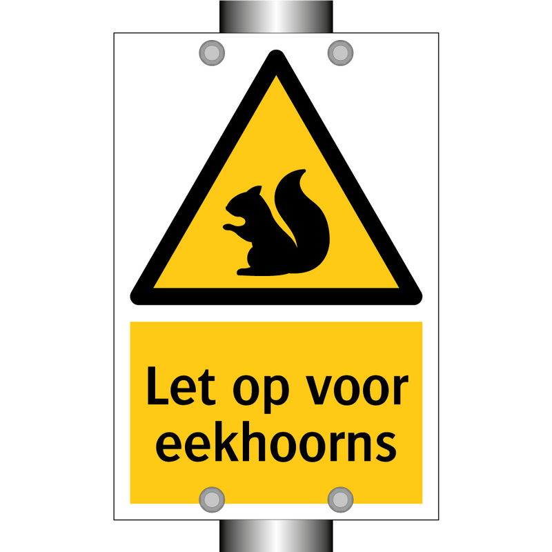 Let op voor eekhoorns