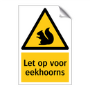 Let op voor eekhoorns