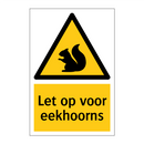 Let op voor eekhoorns