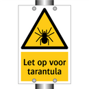 Let op voor tarantula