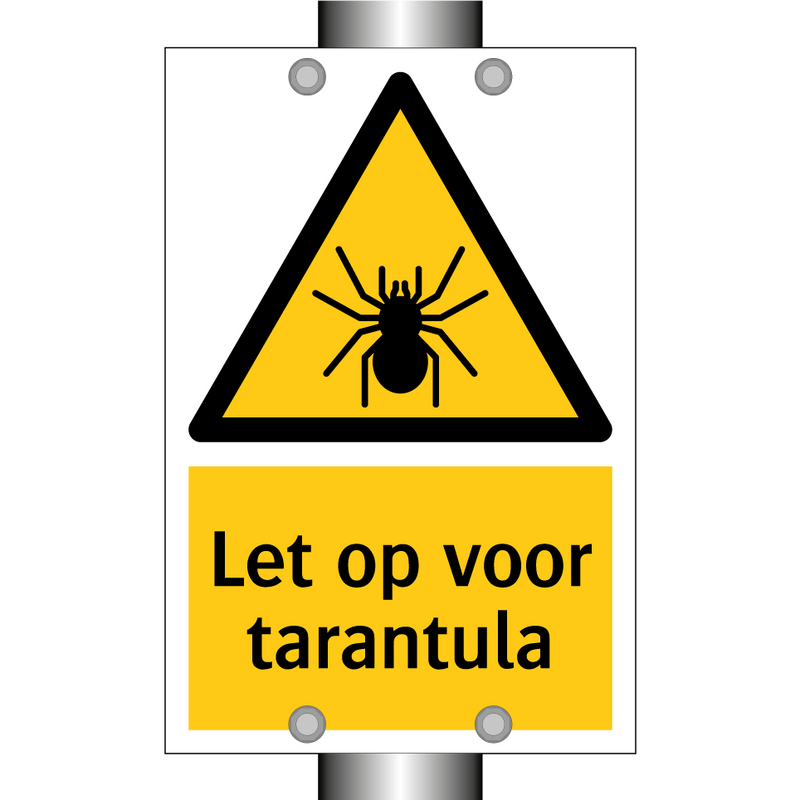 Let op voor tarantula