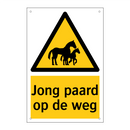 Jong paard op de weg