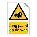 Jong paard op de weg