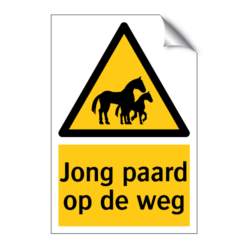 Jong paard op de weg