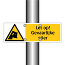 Let op! Gevaarlijke stier