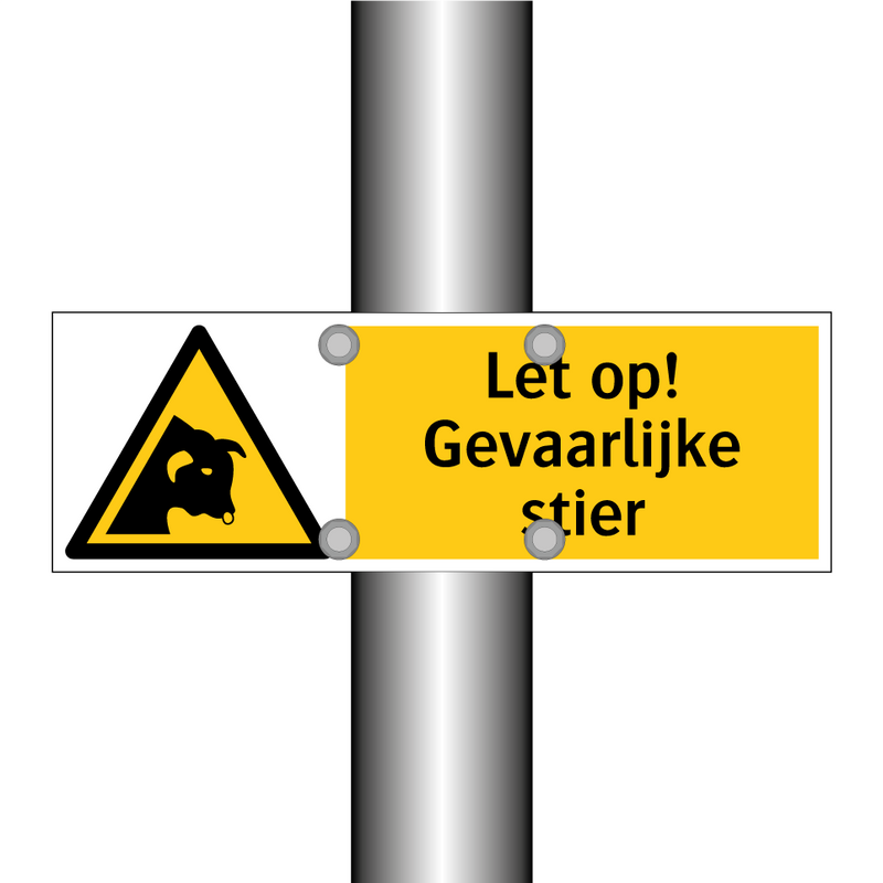 Let op! Gevaarlijke stier