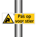 Pas op voor stier