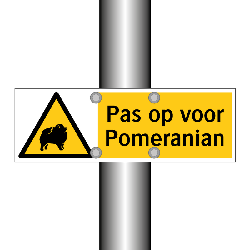 Pas op voor Pomeranian