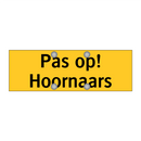 Pas op! Hoornaars