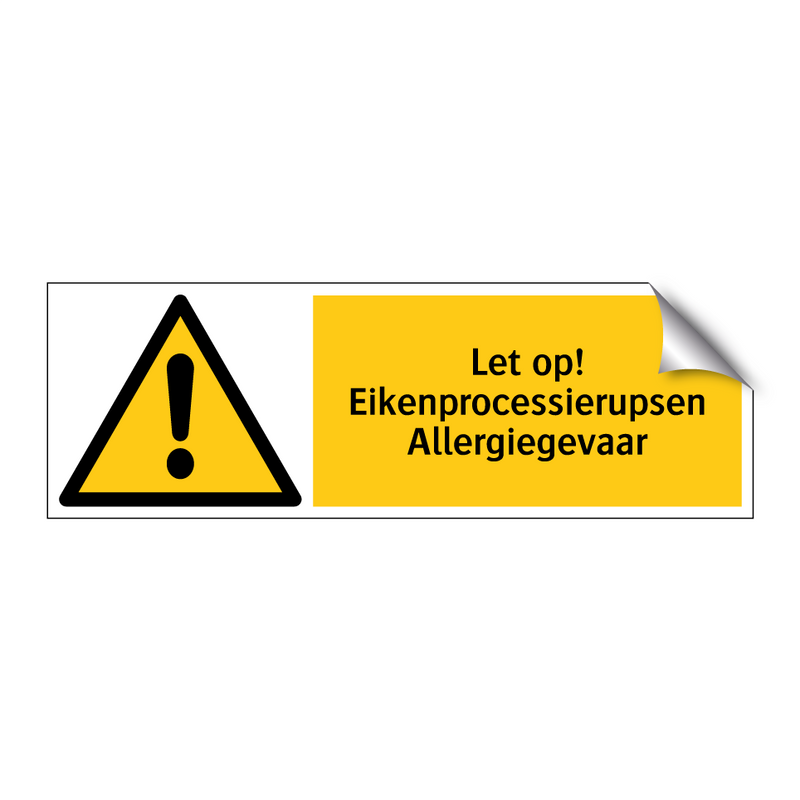 Let op! Eikenprocessierupsen Allergiegevaar