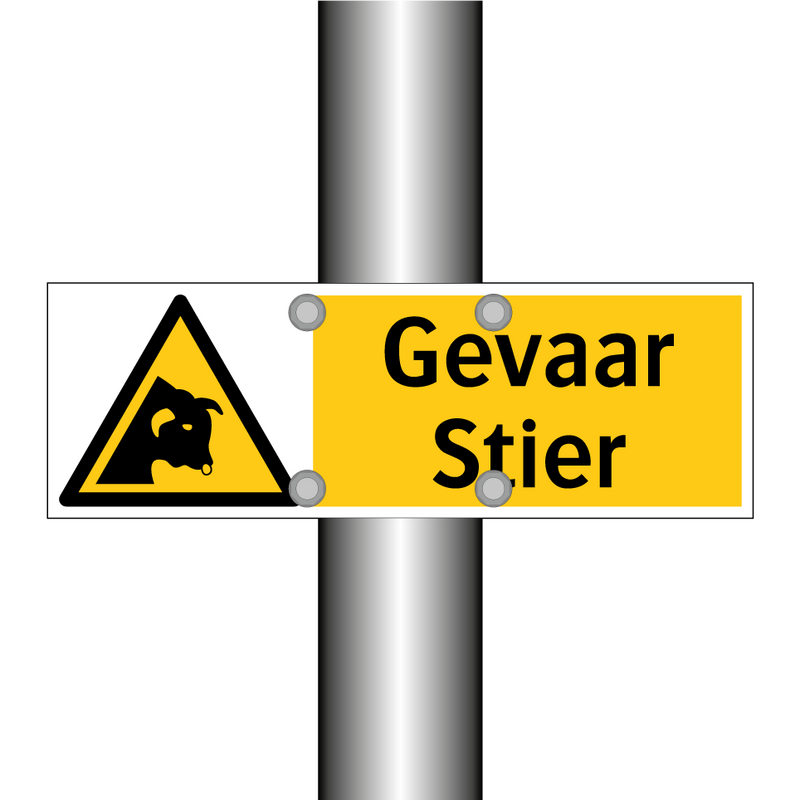Gevaar Stier