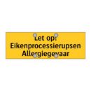 Let op! Eikenprocessierupsen Allergiegevaar