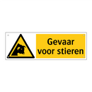 Gevaar voor stieren
