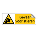 Gevaar voor stieren