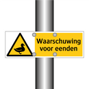 Waarschuwing voor eenden