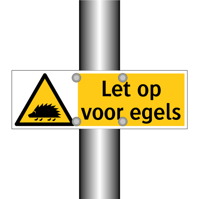 Let op voor egels