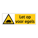 Let op voor egels
