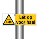 Let op voor haai