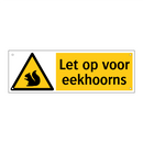 Let op voor eekhoorns