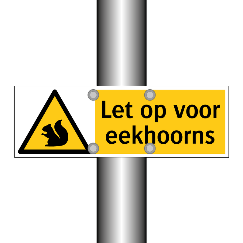 Let op voor eekhoorns