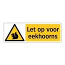 Let op voor eekhoorns